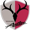 Kashima Antlers